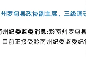 涉嫌严重违纪违法！贵州黔南州罗甸县政协副主席、三级调研员卢海被查图片