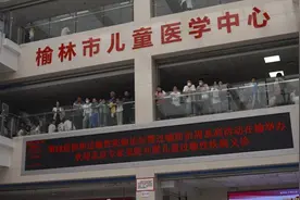 与过敏共处图片
