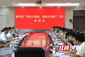 新田县“项目大谋划、谋划大项目”工作推进会召开图片