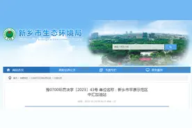 【河南】新乡市平原示范区中汇加油站被罚21760元图片