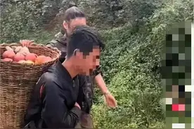 弟弟卖苹果供北大哥哥读书？处理结果公布→图片