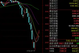 【深度】量化风暴图片