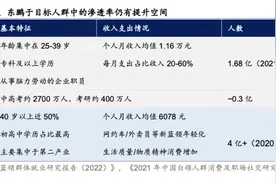 超越红牛，东鹏饮料的得与失图片