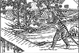 如何驯服一篇童话图片