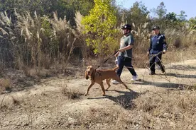 硬核搜救！花都警方“警犬+无人机”成功寻回失联男子图片