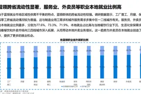 2023中国蓝领就业报告发布：新蓝领回归本地就业，外卖员省内工作比例升至73.3%图片
