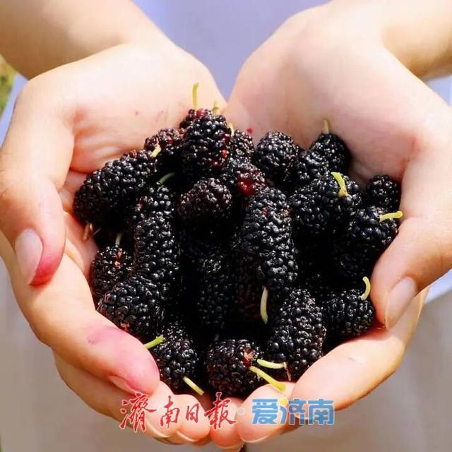 趣撒野，拾童心！这份六一儿童节亲子出游企划请收好