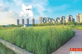 深圳空中交通枢纽节点 或设在白石龙音乐公园图片