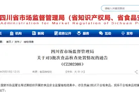 罚款1万！四川自贡嘉鸿食品有限公司超限量使用食品添加剂受处罚图片