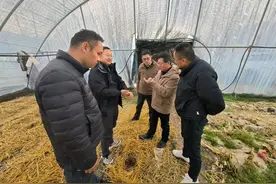 上海援青助力甘德种出群众的“致富草”图片
