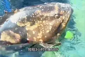 重庆籍新能源车主被困海南岛玩出花：沙滩露营、出海冲浪、捕鱼……计划再玩一个月图片