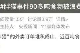 94.6吨外卖曾堆满长江大桥，办案民警遭网暴！央视还原“胖猫”事件图片
