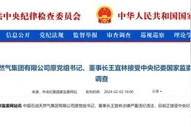 中石油原董事长王宜林涉嫌严重违纪违法被查，4年前卸任图片