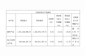 产品销量未达预期 山东玻纤上市后归母净利润首次亏损图片