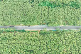 环热带雨林国家公园旅游公路不只是“一条路”：这是旅游路 也是幸福路图片