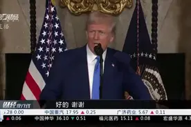 再度挥舞“关税大棒”特朗普宣布将对进口汽车征收25%左右关税视频封面