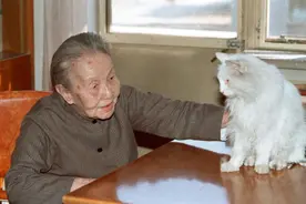 冰心笔下的湛江印象！63年前这座海滨城市如何迷住她？图片