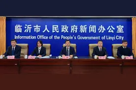 临沂有了完整的基准地价体系，土地权属性质用途都会参考图片
