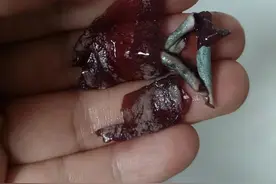 味全葡萄汁被曝喝出一团异物！回应称需由专业人员分析确认图片