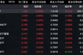 2只沙特ETF上市首日涨停，基金公司盘中紧急提示溢价风险图片