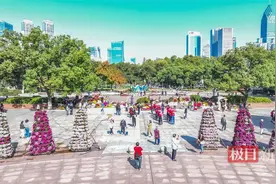 武汉金秋菊展11月1日启幕！端一桌融经济旅游文化的菊艺盛宴图片