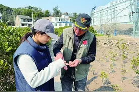 舞蹈老师辞职接棒“种树父亲”：我要让海岸线长满“绿飘带”图片