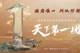 纪录片《天下第一团》：中国稀有剧种的传奇之旅图片