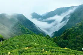 入春啦！别眨眼，接下来的蕉城，是这样的！图片