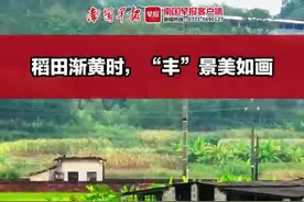 即将迎来最佳观赏期，这里拍照太太太美啦！图片