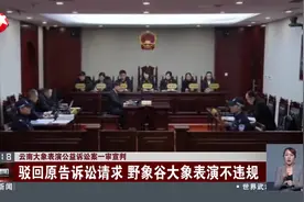 云南大象表演公益诉讼案一审宣判 驳回原告诉讼请求 野象谷大象表演不违规图片