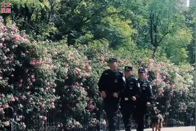 视频｜缤纷“五一”，济南特巡警在路上图片