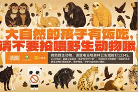 拒绝投喂野生动物，跟马蜂窝攻略科学游览三江源国家公园图片