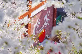 谁能拒绝4.5万？晚安樱花摄影大赛它又来了！！图片