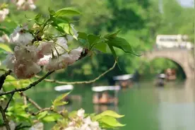 “花朝杭州 足够精彩”世预赛杭州送福利，近百家酒店权益上线图片