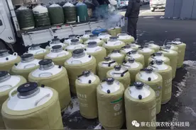 加快提高察右后旗肉牛良种化进程，提高肉牛品质图片