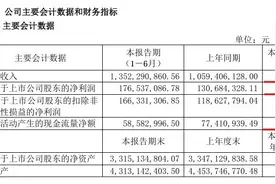 丸美股份：上半年继续增长，业内首个披露完整版安评图片