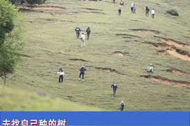 在蚂蚁森林浇水，真能长出树吗？图片
