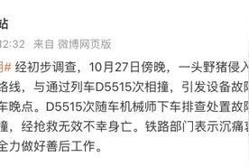 铁路南京站：野猪侵线与列车相撞，机械师处置故障时不幸身亡图片