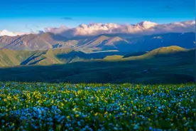 巴尔鲁克山：山花烂漫时 无限风光入画中图片