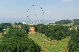 美心红酒小镇入选全国“万企兴万村”行动优秀案例库第一批入库案例名单图片