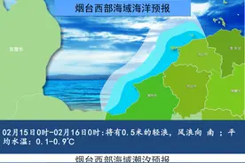早安 烟台|烟台多个片区改造项目公示图片