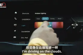 老外试驾中国电车：这车太酷了，敌视中国的人就是纯纯嫉妒图片