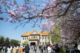五一·逛博物馆｜提前开馆、延后闭馆、增设演出还能看展览…… 伪满皇宫博物院开启 “人从众”模式图片
