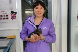 闯出精彩 | 琼中女“猪倌”：养五脚猪带动七千余人共同发展图片
