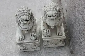 滕州一男子盗窃石狮被抓图片