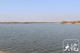 合肥新桥西湖湖底清淤工程即将开工图片