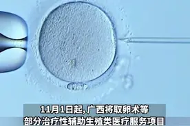 广西官宣：11月1日起将试管婴儿费用纳入医保，每人最多报销2次图片