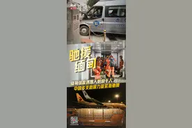 新闻8点见丨中国多支救援力量紧急驰援缅甸；加沙战火为何反复？图片
