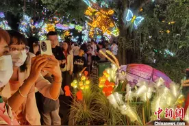民众假日出游热情高涨 广西景区夜间依然被“挤爆”图片