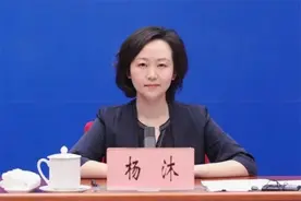 厅长杨沐，履新商务部图片